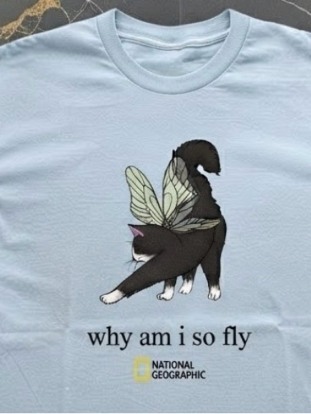 Cat-Butterfly Hybrid National Geographic "Why Am I So Fly" Whimsical T-Shirt - Picture 2 of 4